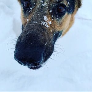 Meet your Posher, Nathan